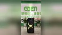 Dualer 8-Zoll-Wireless-Lautsprecher mit LED-Ringlicht, Stereo-Partylautsprecher, lauter tragbarer OEM-Lautsprecher