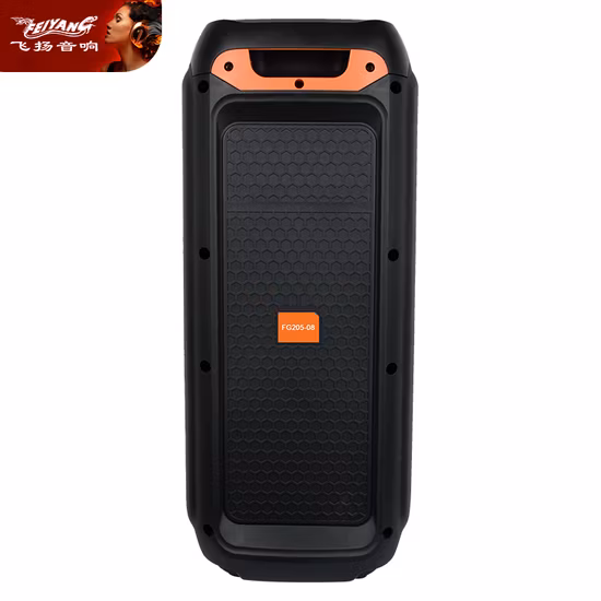 Doppelter 6,5-Zoll-Feiyang-Bluetooth-wiederaufladbarer Outdoor-DJ-Trolley Tws-Audiolautsprecher