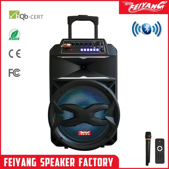 Feiyang Tws Parlante Active Trolley DJ Bluetooth Audio Lautsprecher Soundbox