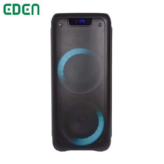 Holz-Subwoofer, doppelter 10-Zoll-Soundbox-DJ-Karaoke-Bluetooth-Party-Audio-Lautsprecher mit Tws-Mikrofon