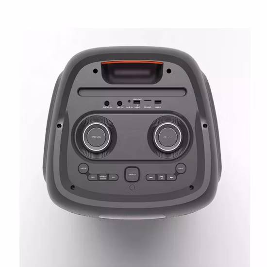 Temeisheng Dual 10 Zoll Woofer Großer aktiver tragbarer Party-Wireless-Bluetooth-Lautsprecher