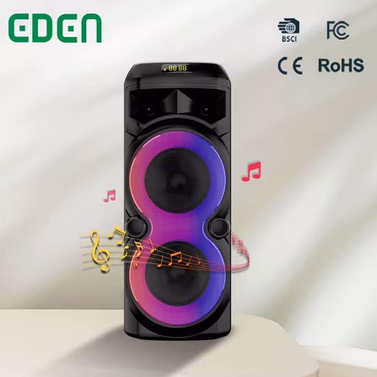 Temeisheng Dual 10 Zoll Woofer LED-Licht RGB Outdoor Tragbarer kabelloser Bluetooth-Partylautsprecher