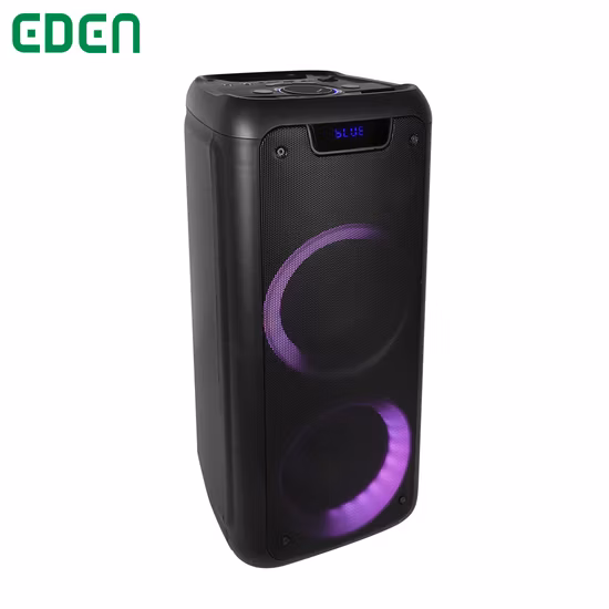 Doppelter 12-Zoll-Subwoofer aus Holz für DJ, Karaoke, tragbarer Audio-Bluetooth-Partylautsprecher mit Tws