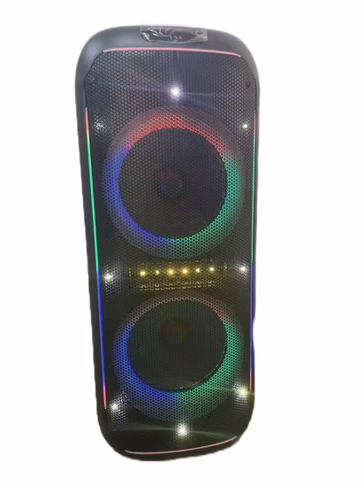 18 Zoll heißer Verkauf Bluetooth tragbarer drahtloser Party-Außen-OEM-Lautsprecher