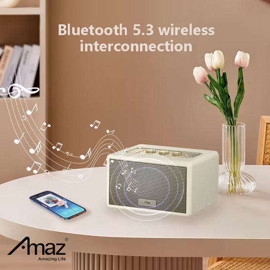 Dualer 10-Zoll-Wireless-Lautsprecher, LED-Ringlicht, TWS-Stereolautsprecher