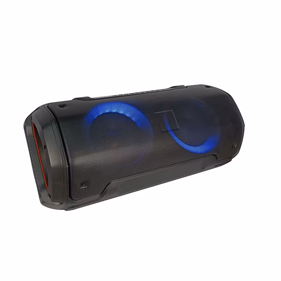 Temeisheng Party-Lautsprecher, 8-Zoll-Tieftöner, tragbarer Lautsprecher mit LED-Leuchten