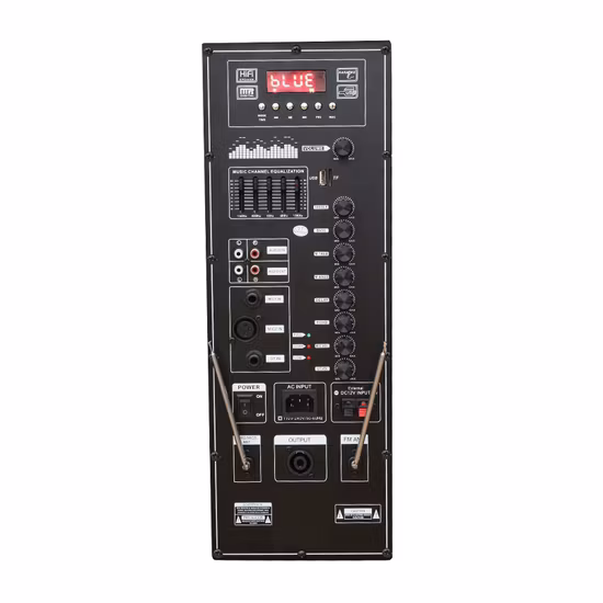 2021 Neuankömmling Bull Design 12 Zoll Trolley Outdoor Party Drahtloser Bluetooth-Lautsprecher mit Rädern/Tws